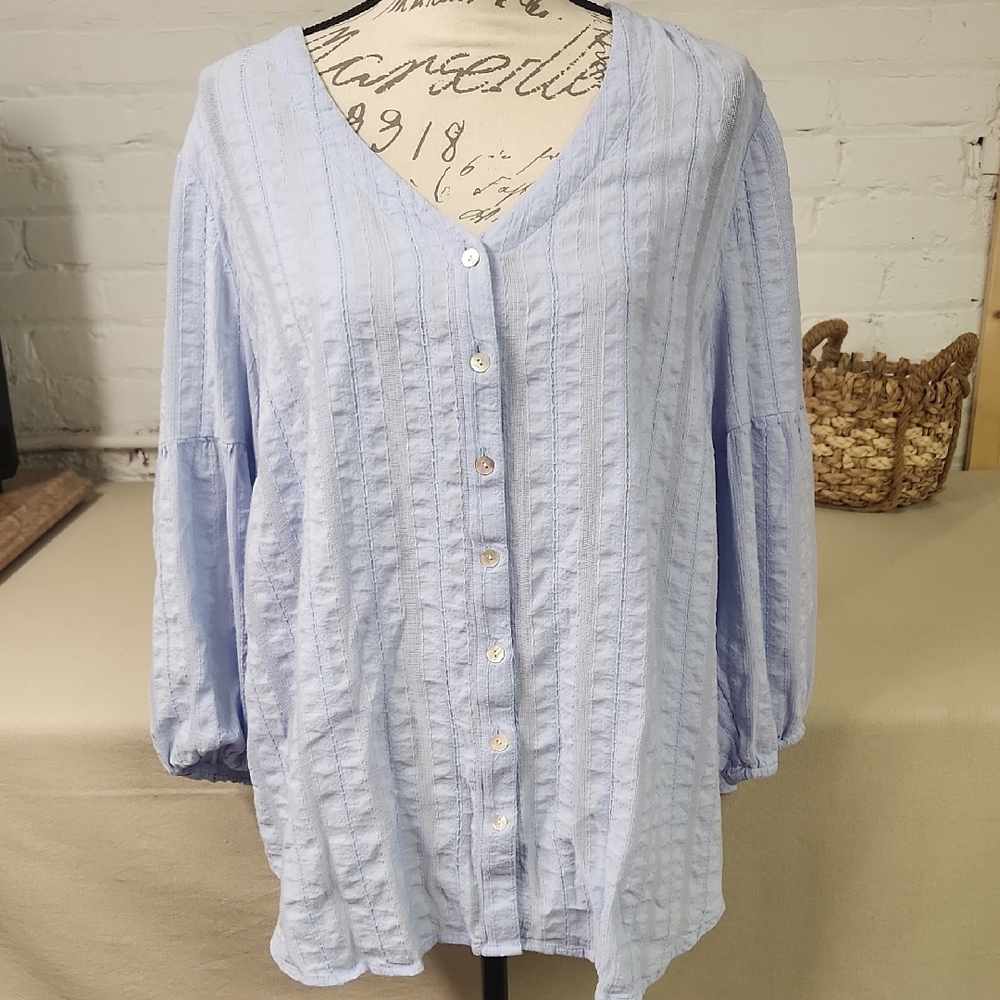 J. Jill Blue Button Down Relaxed Top Size 2X PLUS